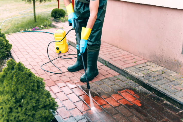 Local Pressure Washing Services